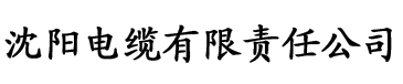 《一天》未删减电缆厂logo